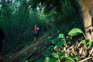 BIB: 
                            <button type="button" onclick="openModal(28124620)" class="btn btn-primary btn-sm float-right btn-popup" data-toggle="modal" data-target=".modal-high-quality">
                        <i class="fas fa-shopping-cart"></i> Add to Cart
                    </button>
                                            <button type="button" onclick="isThisMe(28124620, true)" class="btn btn-success btn-sm float-right btn-popup btn-isme hidden" data-toggle="tooltip" data-placement="bottom" title="นี่คือรูปของคุณใช่ไหม คลิกที่นี่เพื่อเอาเข้าอัลบั้ม">
                        <i class="fas fa-plus"></i> Add to album
                    </button>
                    <button type="button" onclick="isThisMe(28124620, false)" class="btn btn-warning btn-sm float-right btn-popup btn-isnotme hidden">
                        <i class="fas fa-ban"></i> Remove from album
                    </button>